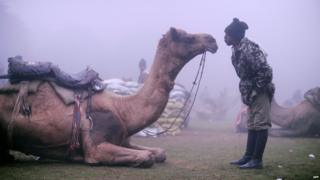 Soldier speaking to camel