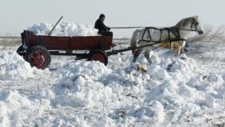 A man carrying snow in his horse-driven cart in Romania