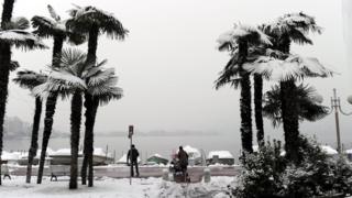 Snow covered palm trees in Switzerland