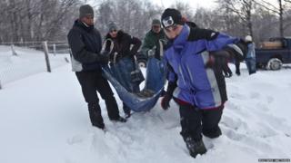 Staff from the centre carrying a bear cub to the den