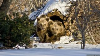 Little John and Nikitas outside their den