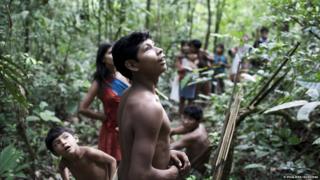 Awa family group in the forest