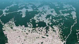 Aerial picture of Awa land