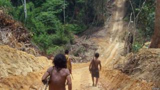 Awa men walk along a logging road