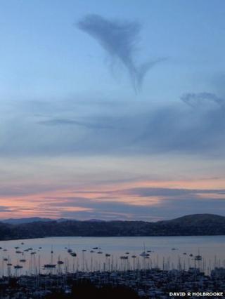 Dolphin shaped cloud in the sky - by David R Holbrooke