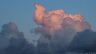 Cloud in the shape of an elephants head and trunk - by Saskia Van der Sluis