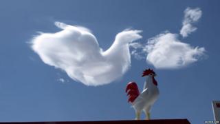 Cloud shaped liked a cockerel - by Andrew Kirk