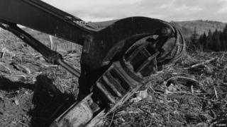 Machinery used to clear trees away