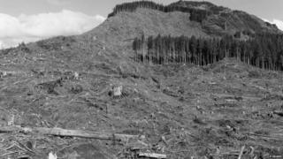 Image of deforestation in Oregon, USA, taken in 1999