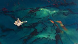 Oil spill in the Gulf of Mexico in 2010