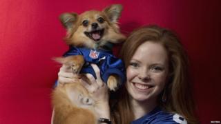 Riley the Yorkshire-Pomeranian cross with his owner