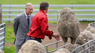 Prince Charles visits a sheep farm in Australia