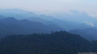 Pictures of the Borneo rainforest taken by the Duchess of Cambridge.