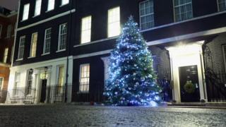 Christmas tree outside Downing Street, London.