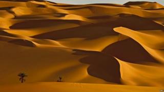 Desert landscape