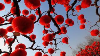 Trees decorated with lanterns.