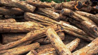 Ebony logs
