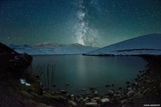 Starry tree by Elmar Akhmetov