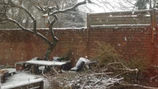 A snowy garden