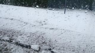 A snow covered garden