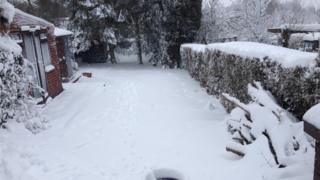 Snowy garden