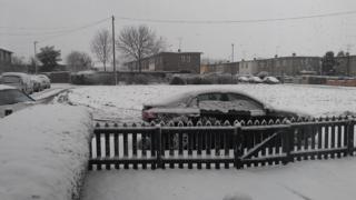 Snowy garden
