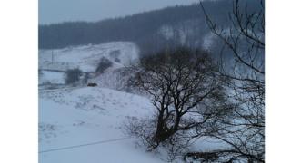 Snowy scene