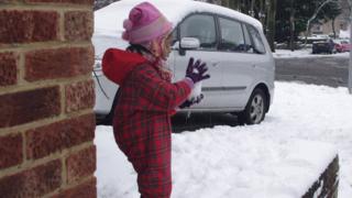 snowball