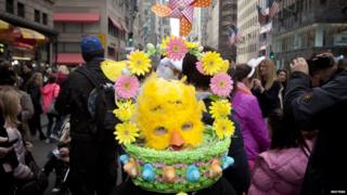 Max dressed up in a bonnet in the style of an Easter egg basket