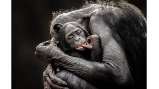 Photo and caption by Graham McGeorge/National Geographic Traveller Photo Contest