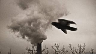 Smoke coming out of a chimney whilst a bird flies past