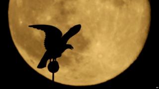 Supermoon in Kansas, USA
