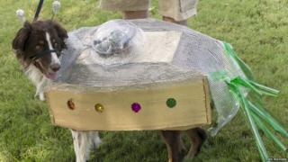 Dog dressed up for the annual Alien Costume Contest