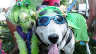 Nanook the Superdog, right, and Tobie the King of Mars, at the 2013 UFO Festival