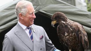 The Prince of Wales holds a bald eagle