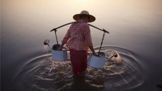 "Lady in Water"