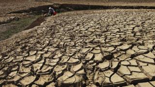 A man fetches water from a partially dried-up reservoir in Taizhou