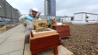 Bez of Happy Mondays on top of the Printworks in Manchester, with a beehive.