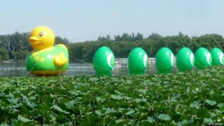 rubber duck