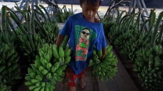 Boy carrying bananas A boy wearing a t-shirt with a picture of South Korean singer PSY carries bananas at a jetty on the Yangon river bank