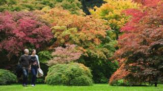 People enjoy the emerging Autumn colours at the Westonbirt National Arboretum near Tetbury, Gloucestershire.