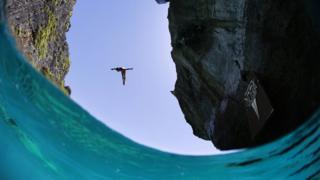 Artem Silchenko of Russia dives from the 27 metre platform at Maya Bay in the Andaman Sea during the final stop of the 2013 Red Bull Cliff Diving World Series