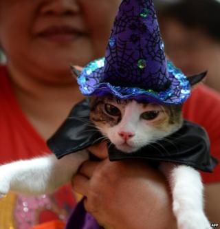 A woman holds her pat cat dressed as a witch