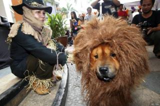 A pet owner sits next to her dog which is dressed in a lion costume