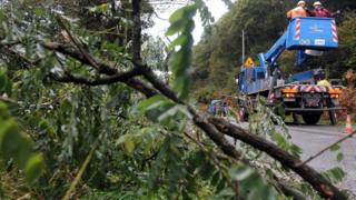 Workers in France remove fallen branches from a road in La Roche-Maurice.