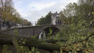 In Amsterdam, people look from a bridge at a tree which fell into the Herengracht canal.