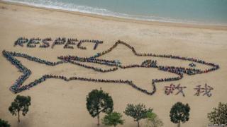 Children form a shark shape on a beach