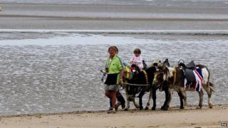 Donkeys on a beach