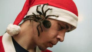 Man with spider on his face.