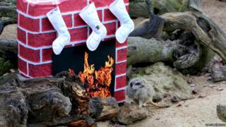 A meerkat next to a faux fireplace with stockings on it.